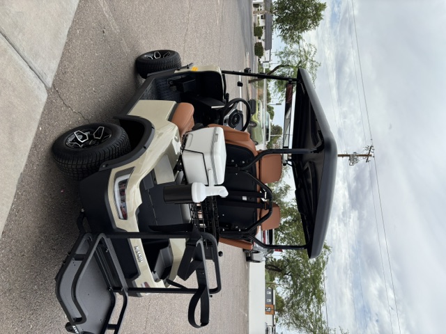 Cream 2025 KANDI GOAT 2P rear view with cooler and golf accessories